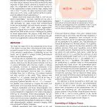 Autologous Fat Grafting for Breast Augmentation in Underweight Women