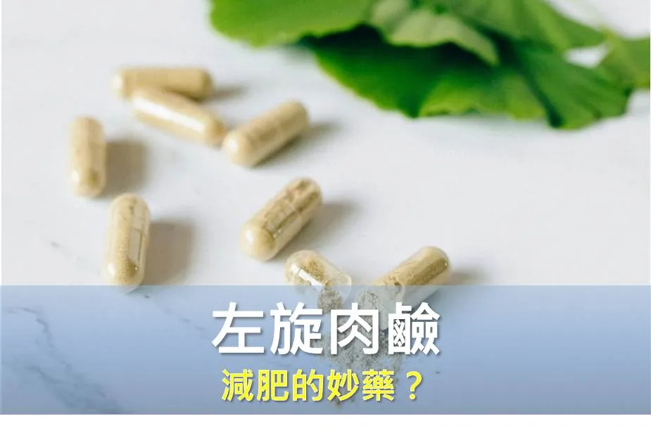 肉鹼是什麼？減肥的妙藥？